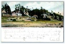 1907 View Of Oceana Beach Cottages Houses Pentwater Michigan MI Antique Postcard picture