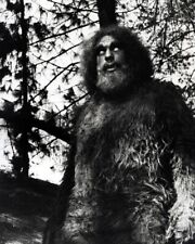 Andre The Giant as Bigfoot 1974 episode The Six Million Dollar Man 11x17 poster picture