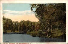 Postcard~New Rochelle N.Y.~Lake~Beechmont Park~Scenic View~Woods~c1920s picture