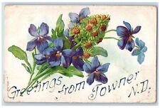 Towner North Dakota ND Postcard Greetings Embossed Flowers Leaves 1909 Antique picture