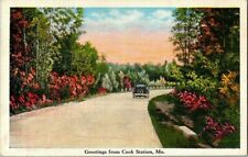 1930'S. GREETINGS FROMCOOK STATION, MO POSTCARD. FX5 picture
