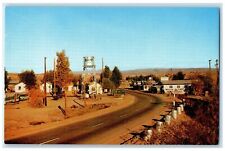 c1950's Famous Colorado River Motel Restaurant Store Earp California CA Postcard picture