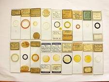 Boxed Set of 18 Antique/ Vintage Diatom Slides. Individual species and Strews. picture