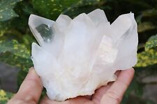 525 gm White Quartz Himalayan Crystal Natural Rough Healing Minerals Specimen picture