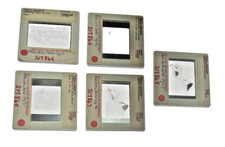 5 Vintage 35mm Art Slides – Native American Migration, Ice Age & Environmental picture