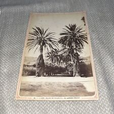 Antiq Cabinet Card Allee de Palmiers au Jardin d’essai Alger Algeria Test Garden picture