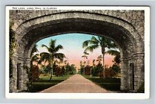 FL-Florida, Scenic Greeting, Long, Long Trail, Vintage Postcard picture