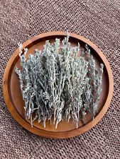 4oz Fresh Cut Sage Artemisia Tridentata Big Sagebrush Wild Native SMUDGING picture