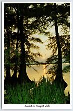 Postcard Sunset View Reelfoot Lake Tennessee Unposted picture