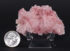 Natural Dusty Pink Halite Crystal Cluster Trona California CA COA 6332 picture