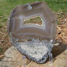RimRock: Rare Polished CROOKED RIVER AGATE LIMB CAST Rough Extra Large Slice picture