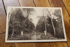 Vintage Unused Lithograph Postcard Forêt de Raismes France picture