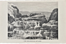 Field Museum Beginnings of Life Chicago Illinois Science Exhibit Postcard FMNH picture