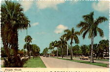 Margate, Florida, Royal Palm Boulevard, tropical palms, January 31 Postcard picture