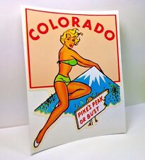COLORADO Pinup Vintage Style Travel Decal, Vinyl Sticker, Luggage Label picture