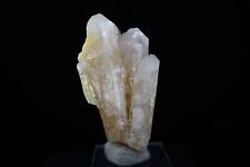 Sulphur on Celestine / Rare 8.8cm Mineral Specimen / Machow Mine, Poland picture
