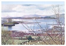 Castle Stalker Appin Argyllshire Unposted Wob Chrome Postcard picture