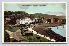 Oban Scotland Esplanade Scenic Coastal Fishing Town Boats DB UNP Postcard picture