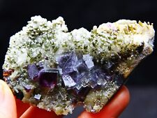 109 g Natural cubic purple fluorite symbiotic green crystal specimen/China picture