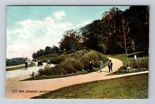 Watertown NY-New York, City Park Driveway Vintage Souvenir Postcard picture