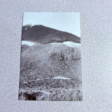 Vintage Landscape Photo Mountain Forest Logging Deforestation Timber picture