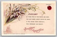 Postcard January Birthday Greeting Garnet Snowdrops And Aquarius VTG c1907  H17 picture