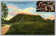 Indian Mound showing Burial Ground near Tuscaloosa AL Alabama Vintage Postcard picture