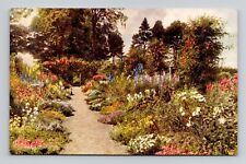 Postcard English Cottage Garden by J Salmon, Antique i4 picture