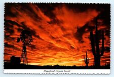 Arizona Sunset Giant Saguaros Rancher Windmill Postcard picture