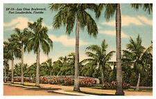 Fort Lauderdale Florida FL Las Olas Boulevard Palm Trees DF.10 Linen Postcard picture