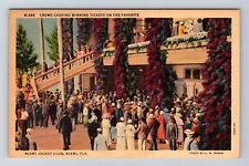 Miami FL-Florida, Miami Jockey Club, Winning Tickets, Crowd, Vintage Postcard picture