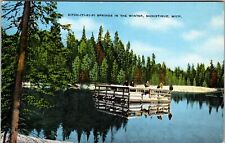 Manistique MI-Michigan, Kitch-Iti-Ki-Pi Spring, Vintage Postcard picture