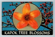 Clearwater FL-Florida, Kapok Tree Blossom Vintage Souvenir Postcard picture