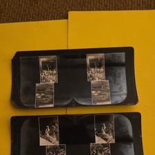 Keystone View Company Stereoview Set of 2 Depth Perception Animals B&W #480 picture