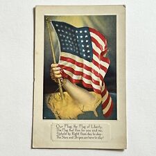 Antique Patriotic Postcard Arm Holding American Flag Of Liberty Series 4 picture