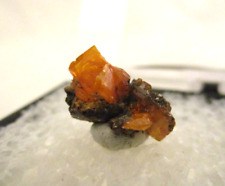 Wulfenite Cluster Specimen From: Red Cloud Mine, Arizona, In A Perky Box E4624 picture