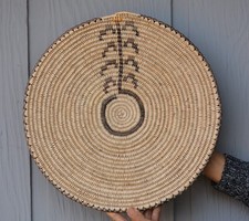 Sally Black - Navajo Pictorial Basket - Beginning of Life - Corn Plant - 16" picture