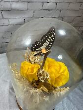 Vintage 1970s Glass Dome Taxidermy BUTTERFLIES & FLORAL Display Terrarium Nature picture