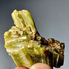 133 Cts Beautiful Termineted Tourmaline Crystal Bunch from Afghanistan picture