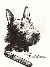 1929 Print Ad  Campbell -Ewald Client Webster Cigars Friend of Man Scottie Dog picture