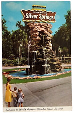 1960s Entrance To World Famous Florida Silver Springs Postcard picture