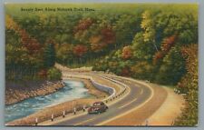Beauty Spot Along Mohawk Trail Mass Massachusetts MA Linen Postcard - Unposted picture