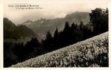 Les Avants sur Montreux, Cape au Moine, Swiss Alps, E. Meyer, Postcard picture