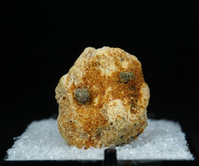 Kimzeyite / Perovskite Hill, Magnet Cove, Arkansas / RARE Mineral Specimen picture