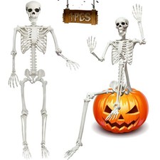 Full Size Movable Human Life Size Plastic Poseable Skeleton Model Full Human picture