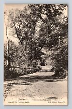 Dorset VT-Vermont, Scenic View Lovers Lane, Antique Souvenir Vintage Postcard picture
