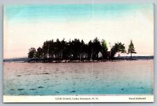 Little Island. Lake Sunapee New Hampshire Vintage Postcard. Hand Colored picture