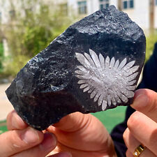 312G Natural chrysanthemum stone  Crystal quartz carving aura Specimen healing picture