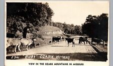 BUSY MISSOURI OZARKS HI-WAY 1940s real photo postcard rppc mo farm cows in road picture