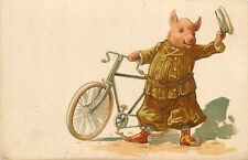 Postcard C-1910 Bicycle cycling pig comic humor undivided TP24-1036 picture